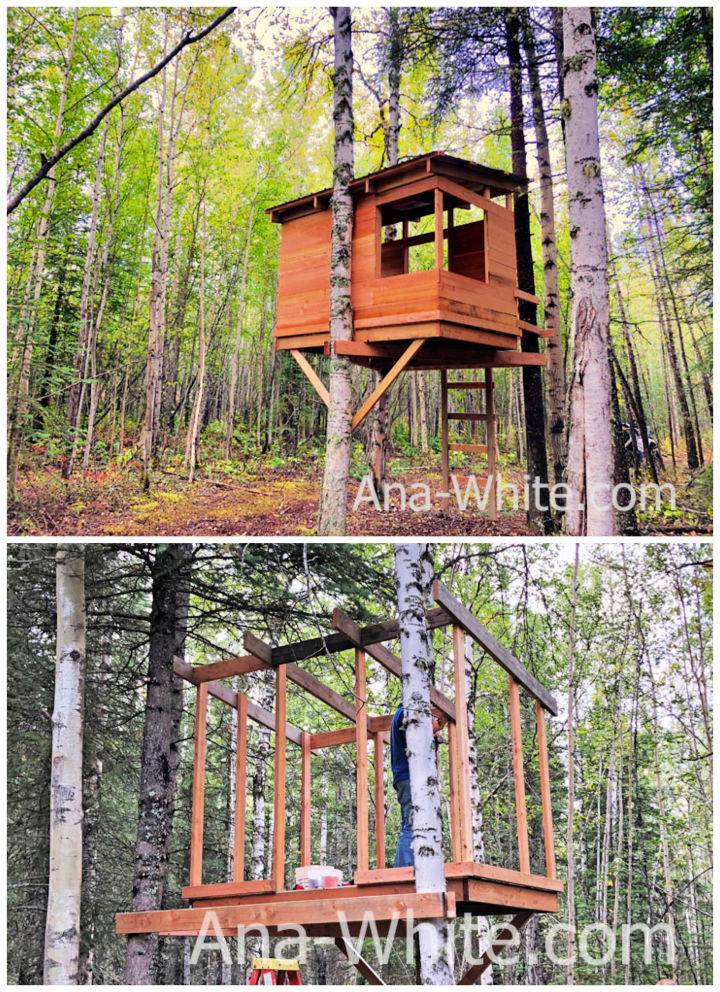 Build a Kids Treehouse