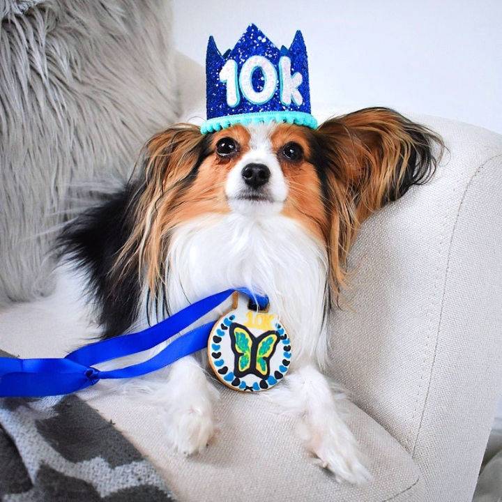 Dog Birthday Hat Party Pet Gift