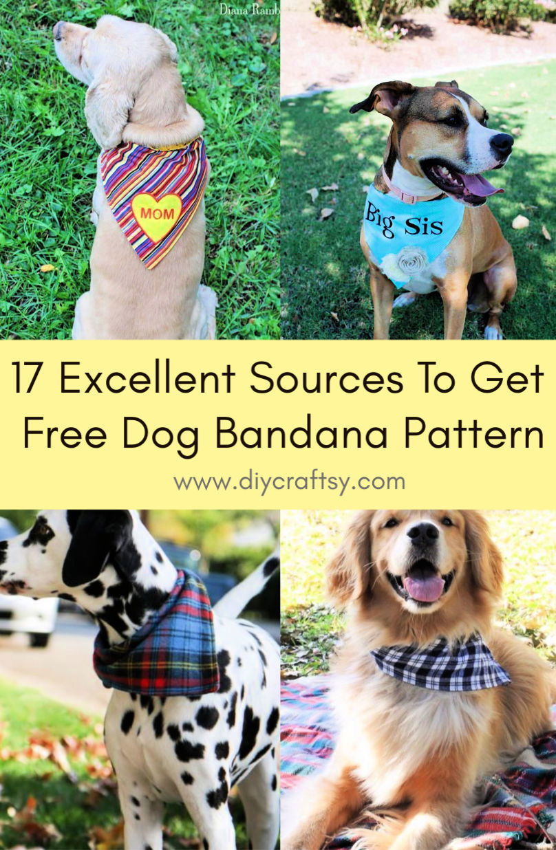 Excellent Sources To Get Free Dog Bandana Pattern