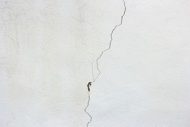 Check and fix any hole or cracks in your walls