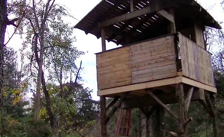 Making a Pallet Tree House