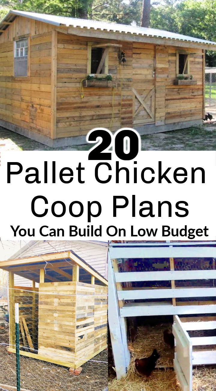 20 Pallet Chicken Coop Plans You Can Build On Low Budget 20-pallet-chicken-coop-plans-you-can-build-on-low-budget