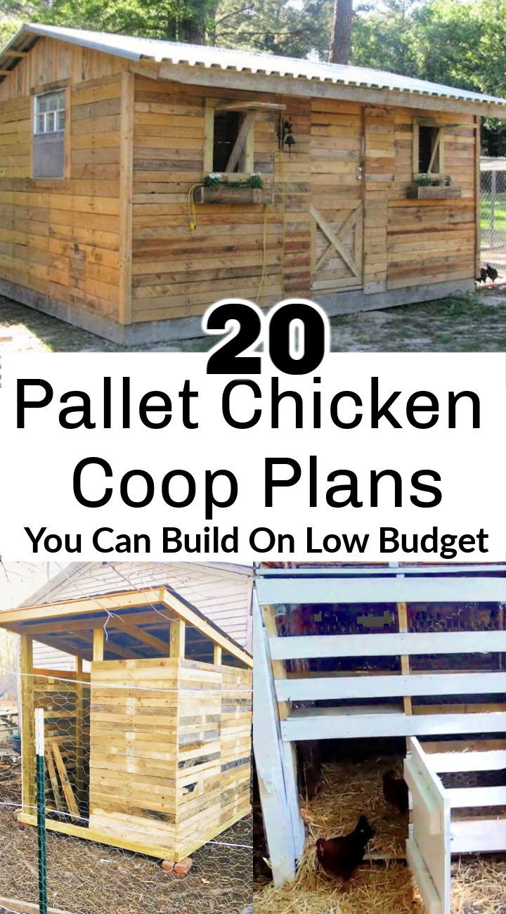 Pallet Chicken Coop-suunnitelmat voit rakentaa pienellä budjetilla