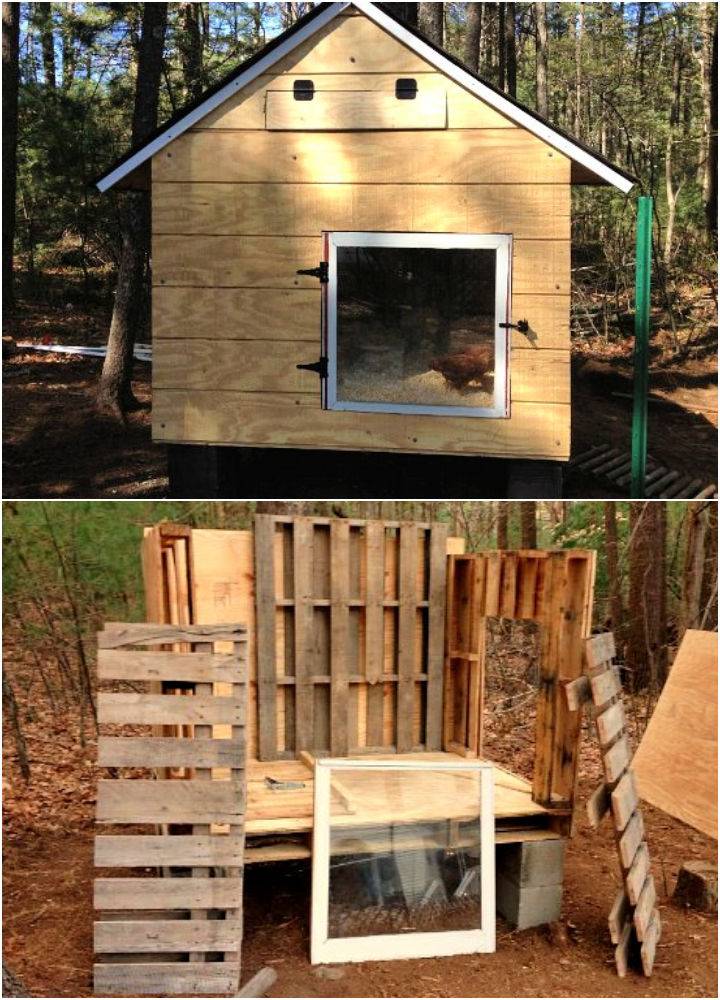Recycled Wood Pallet Chicken Coop