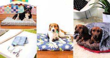 15 Free Dog Bed Patterns That Are Easy To Sew