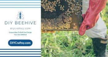 Unique Ideas To Build And Design Your Own Beehive at Home