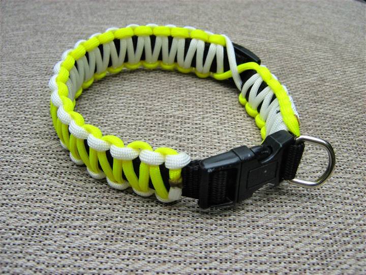 Easy Steps to Make a Paracord Dog Collar