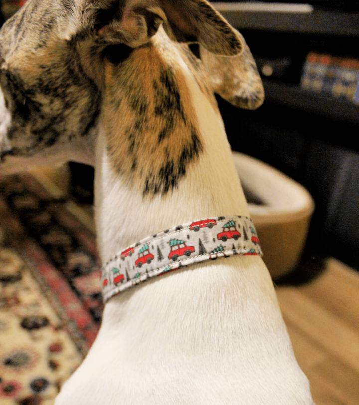 Homemade Fabric Dog Collars