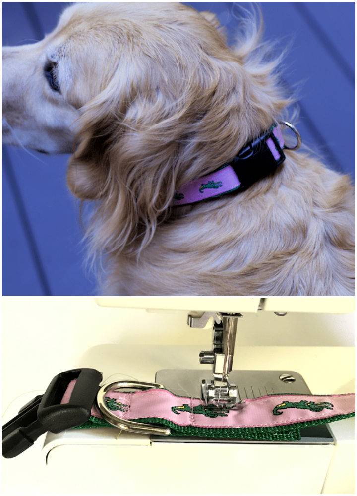 How to Make Adjustable Dog Collar