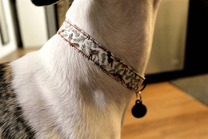 How to Make a Homemade Dog Collar