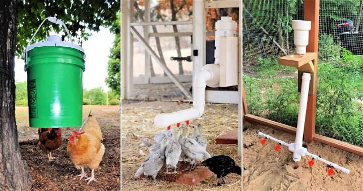 19 Cheap DIY Chicken Waterer Ideas
