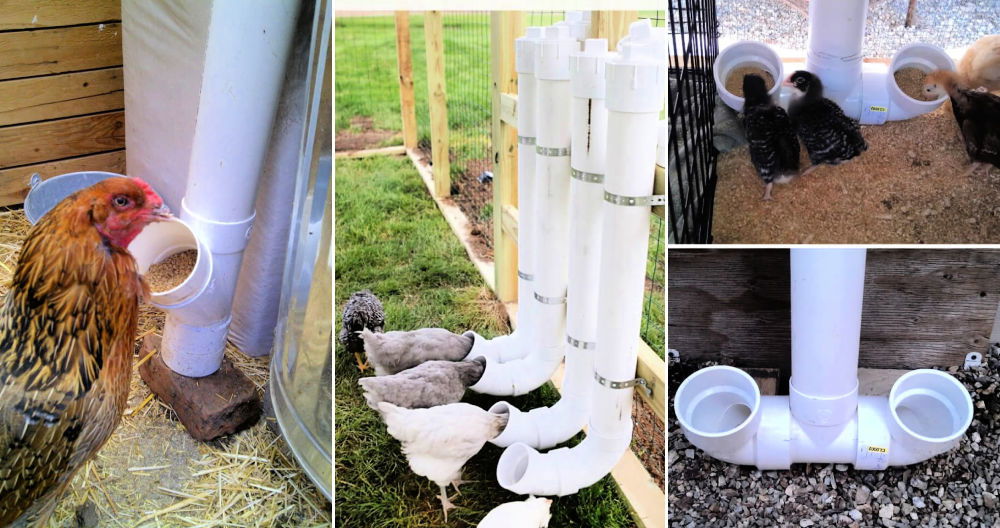 diy chicken feeder from cat food container