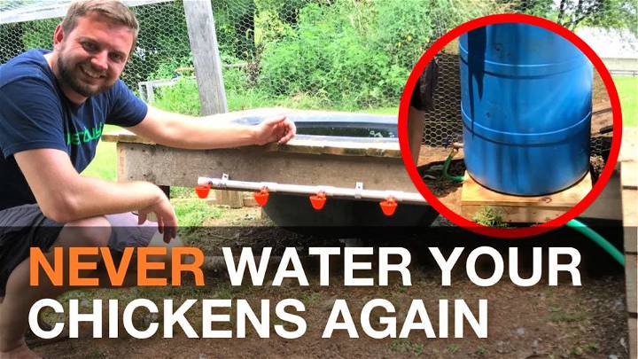 Automatic Chicken Watering System Gravity Fed from A Rain Barrel