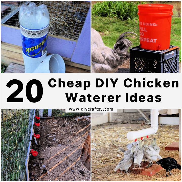 DIY chicken waterer ideas