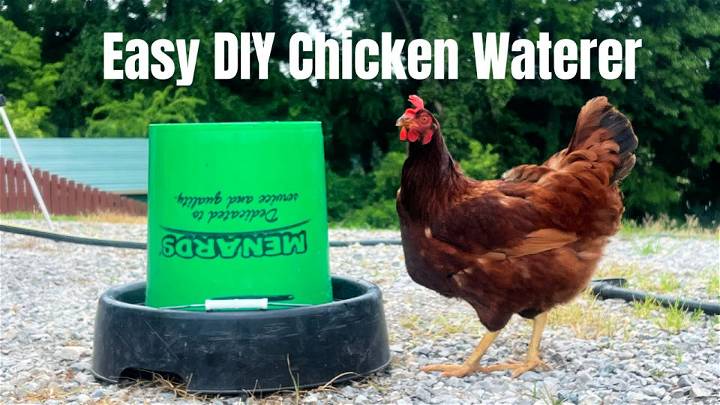 Easy DIY Chicken Waterer