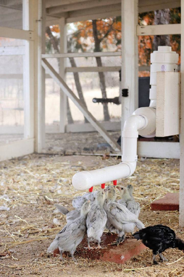 Make Your Own Chicken Waterer