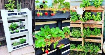 60 easy pallet garden ideas to start gardening using free pallets