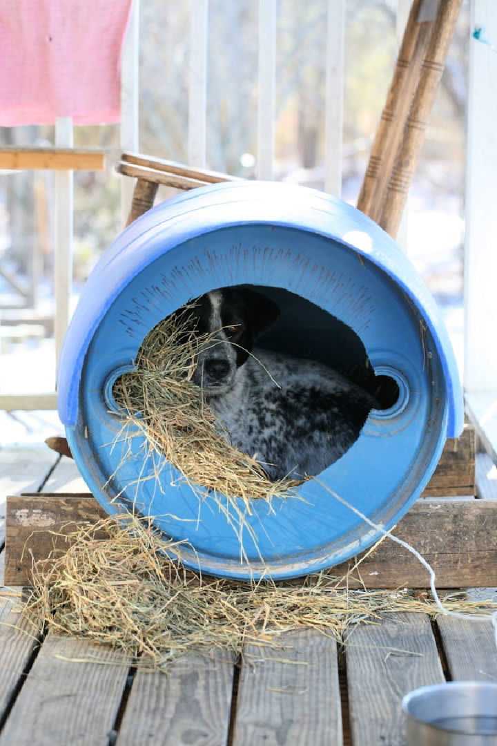 Barrel to Dog House