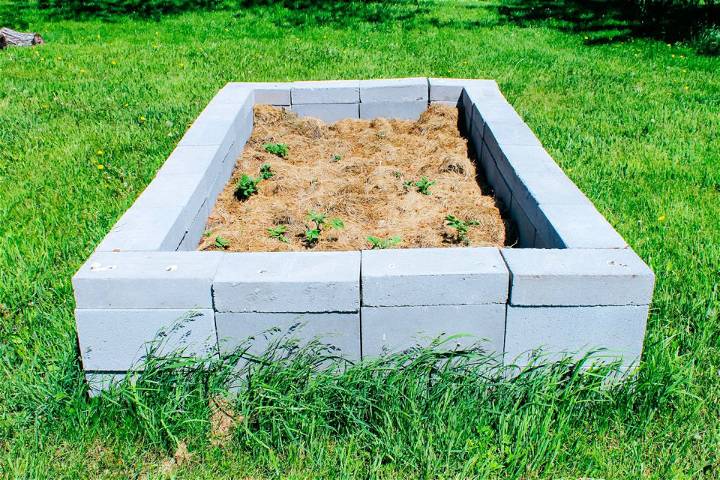 Building a Cinder Block Raised Garden Bed
