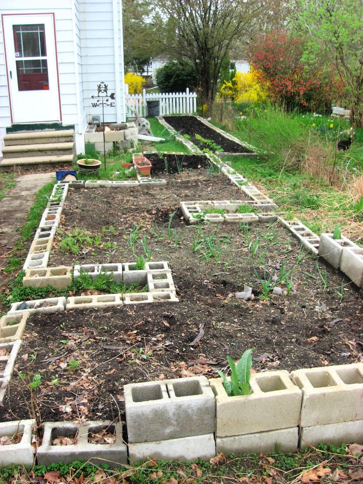 Build a Concrete Block Raised Beds