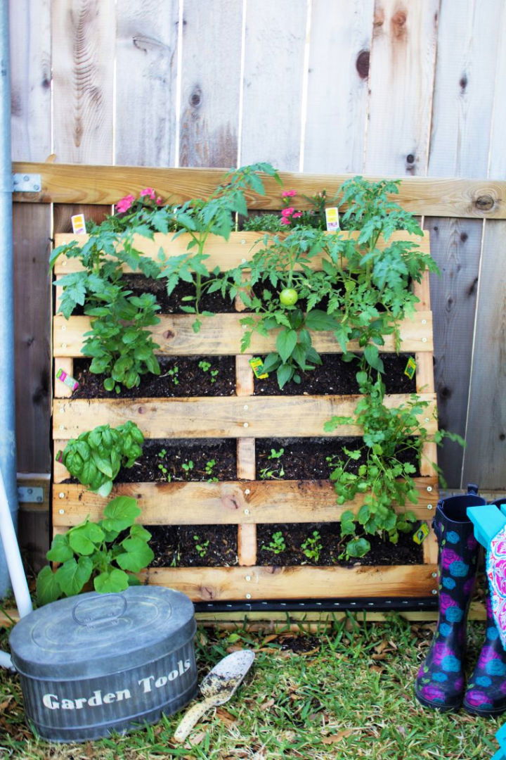 Building Your Own Pallet Garden