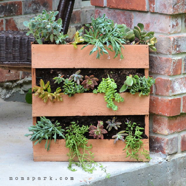 Cedar Pallet into Succulent Planter