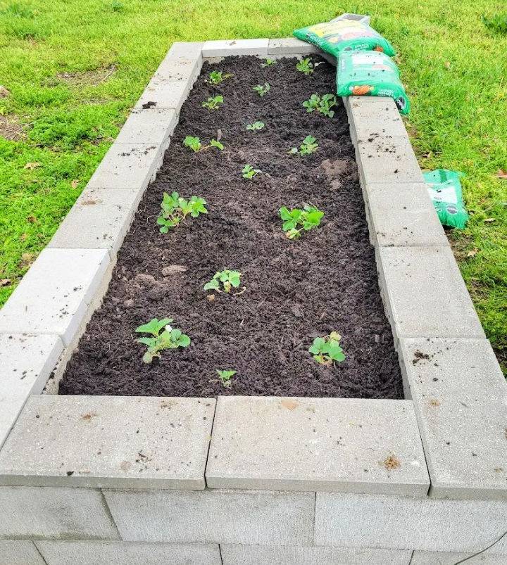 How to Make a Cinder Block Raised Bed