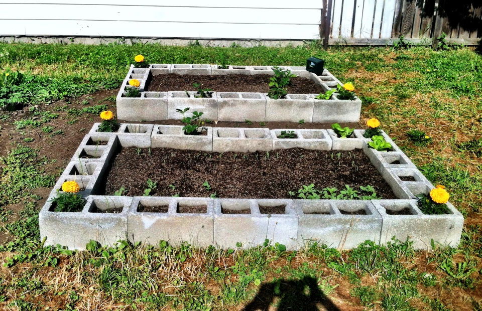 15 Best Cinder Block Raised Bed | Cinder Block Garden Ideas