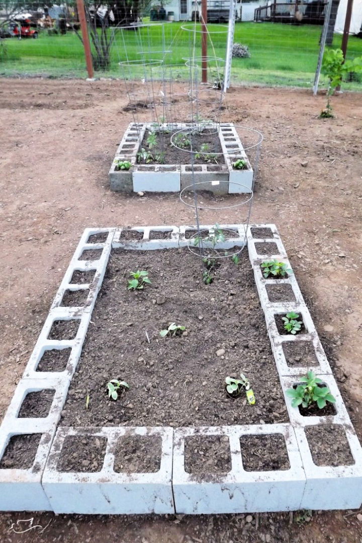 DIY Cinder Block Raised Garden Bed - Fab Everyday