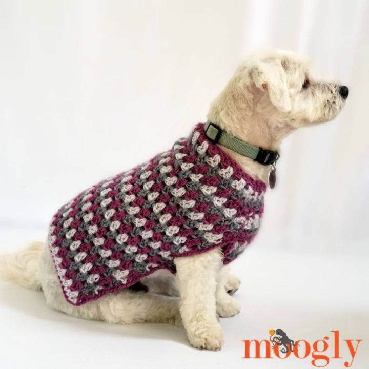 Crochet Well Dressed Dog Coat Pattern
