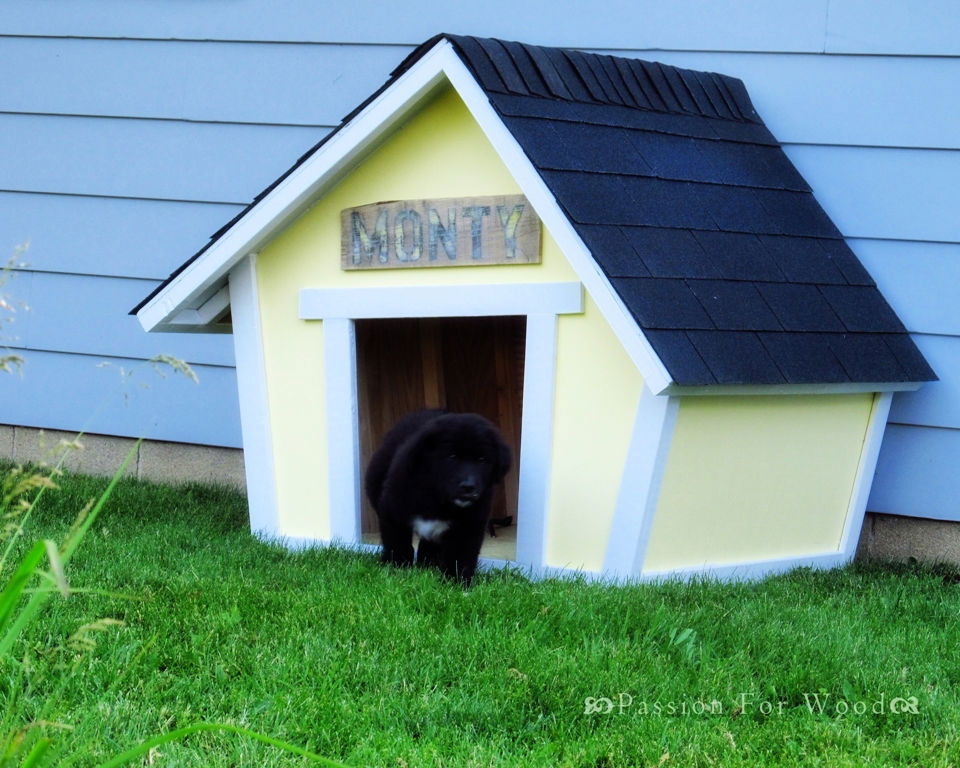 Crooked Dog House