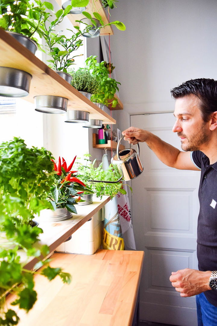 DIY Hanging Herb Gardening