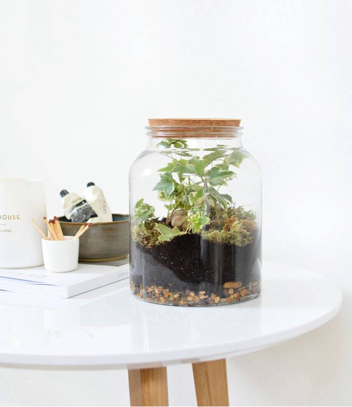 Make Your Own Mason Jar Terrarium