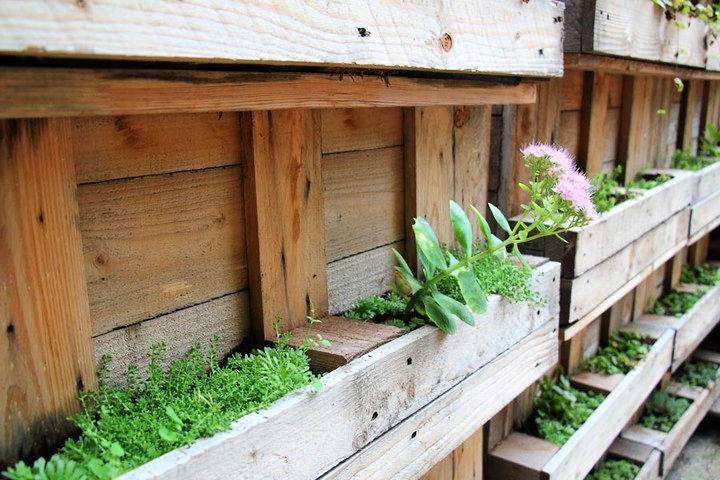 Do you have some old wooden pallets that youre looking to recycle. One of the best ways to use old pallets is to make them a part of a pallet garden