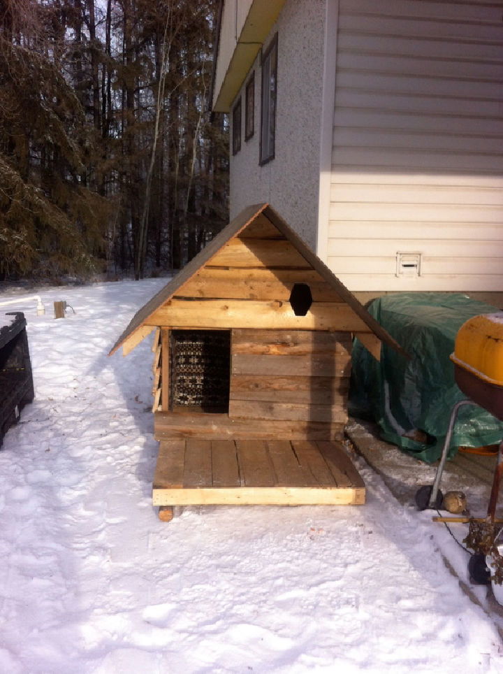 Dog House Using Pallet