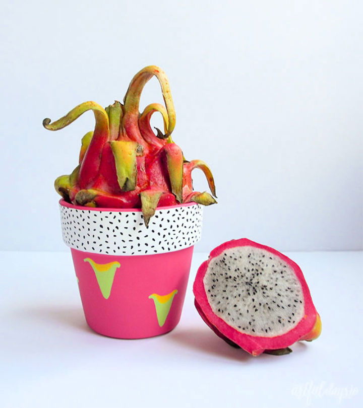 Cool Painted Terra Cotta Pot Dragon Fruit Craft