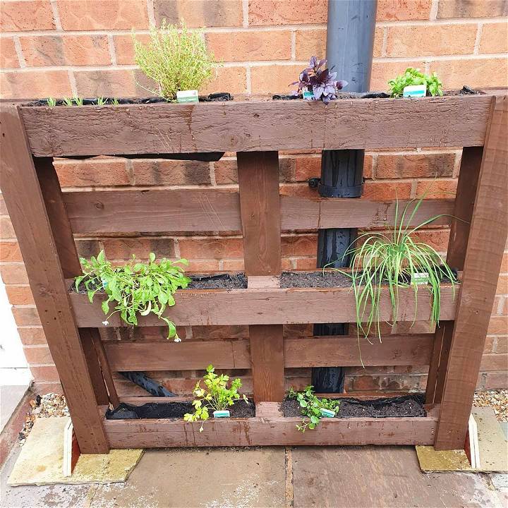 Finished pallet herb garden project just need to plant a few more herbs and wait for some seeds to grow
