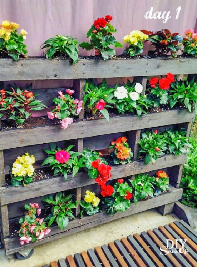 Build a Flower Pallet Garden