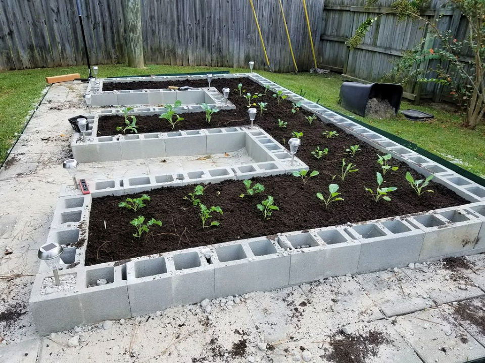 Cinder Block Raised Garden Bed