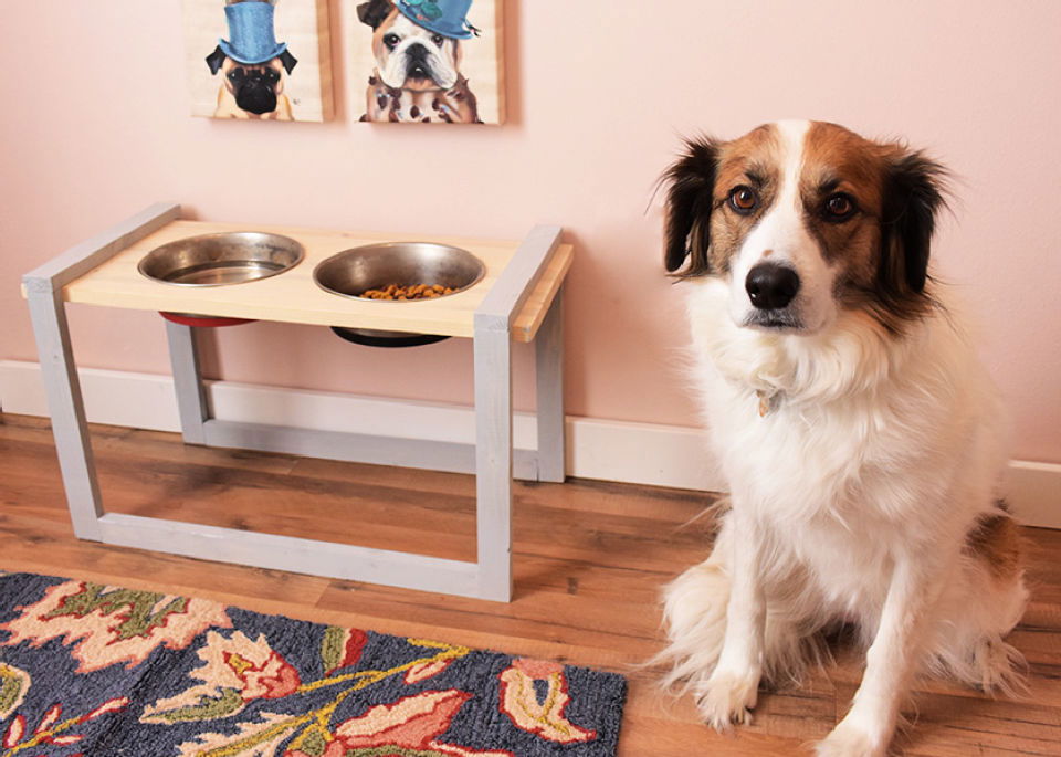 DIY Mid Century Dog Bowl Stand - Sarah Hearts