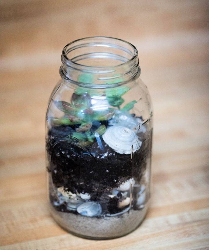 How To Make A Terrarium In A Jar