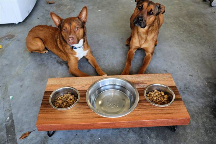 How to Build a Dog Food Bowl Stand
