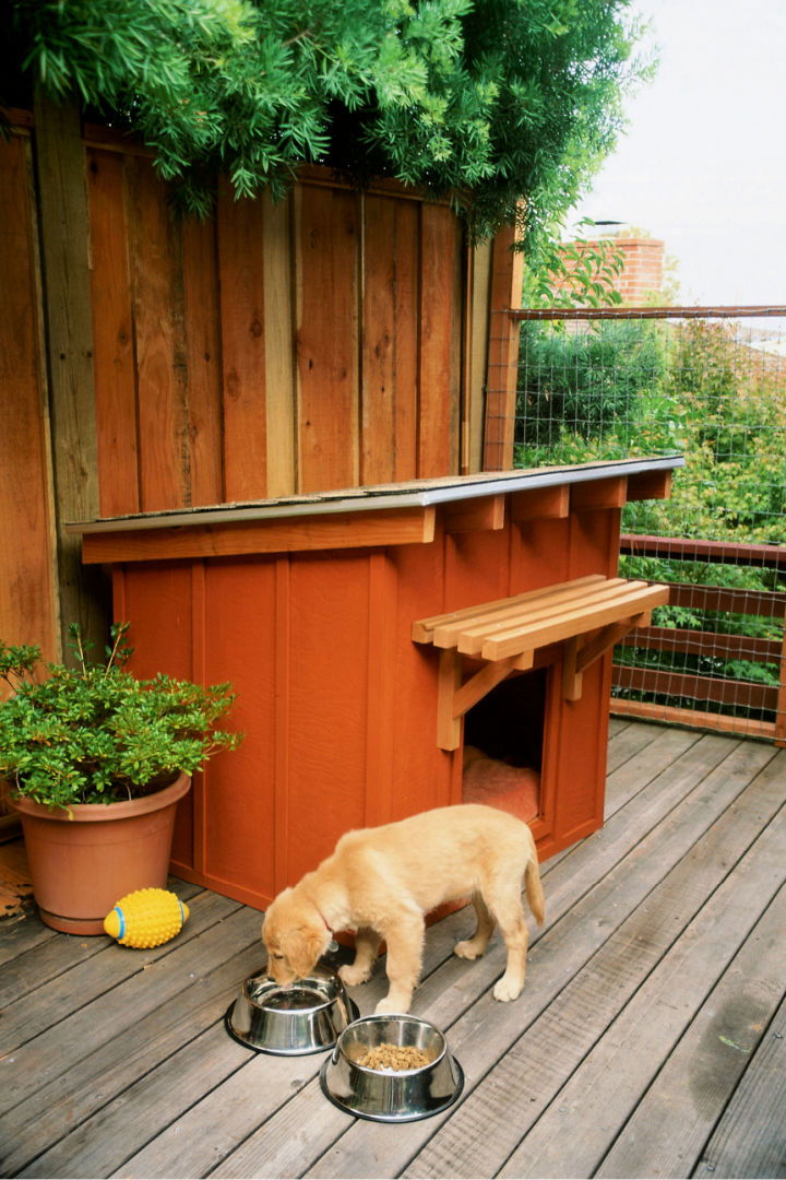 How to Build a Dog House