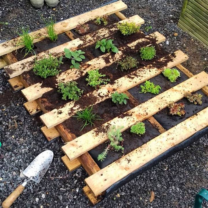 I helped one student make a vertical herb garden out of pallets. It was super fun and very easy. It could all be done on a really small budget especially i