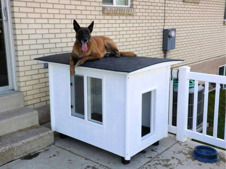 Knock Down Dog House