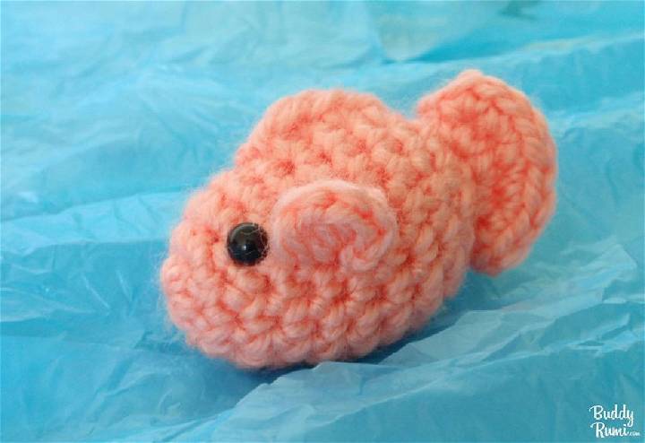 Cute Crochet Little Fish Amigurumi Pattern