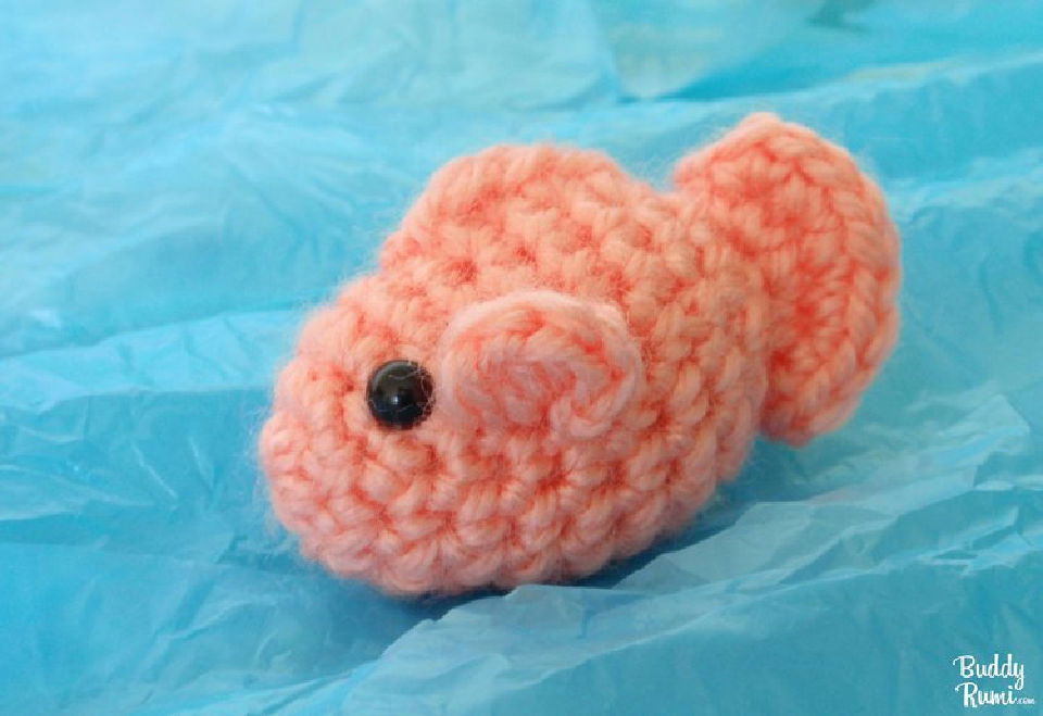 Cute Crochet Little Fish Amigurumi Pattern