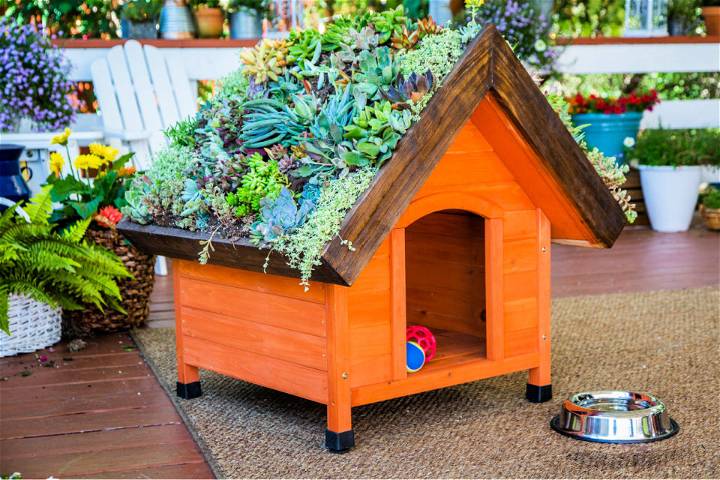 Living Roof Dog House