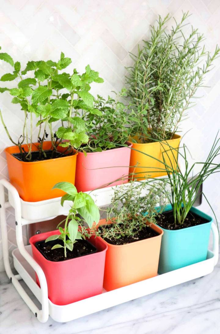 Make A Colorful Indoor Herb Garden