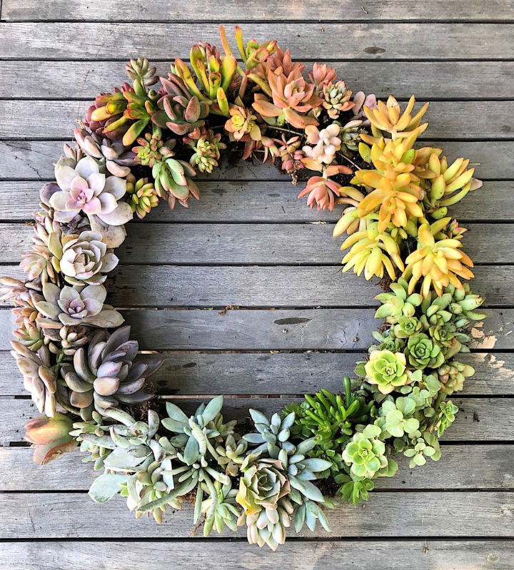 Homemade Succulent Wreath